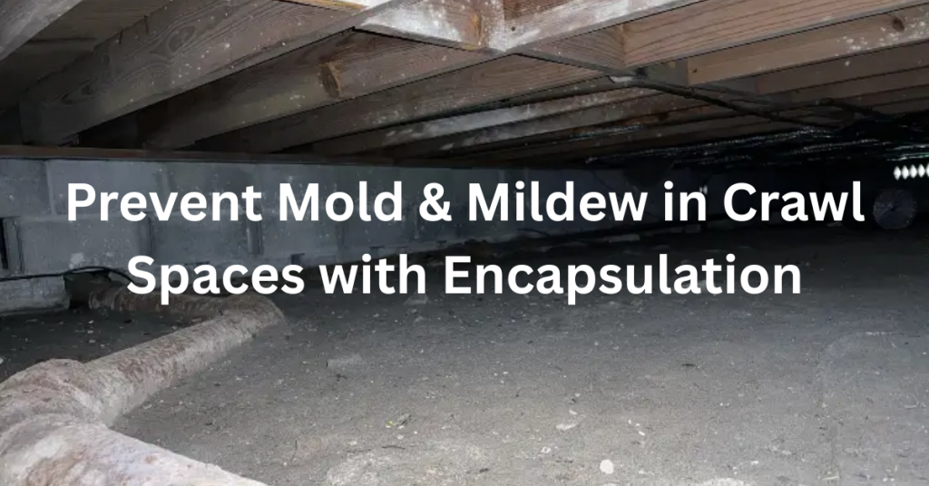 Prevent Mold & Mildew in Crawl Spaces with Encapsulation