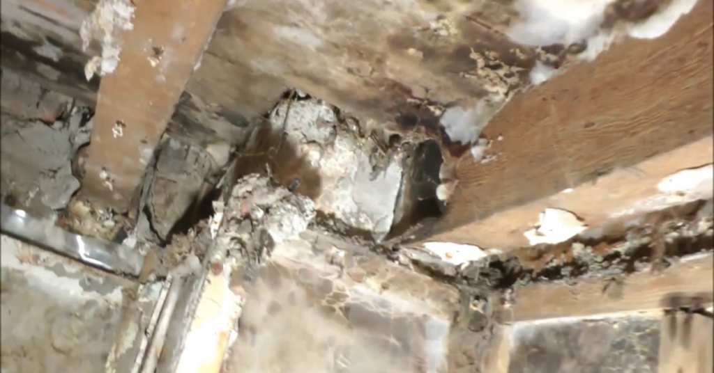 Dry Rot vs. Wet Rot: What Every Property Owner Should Know