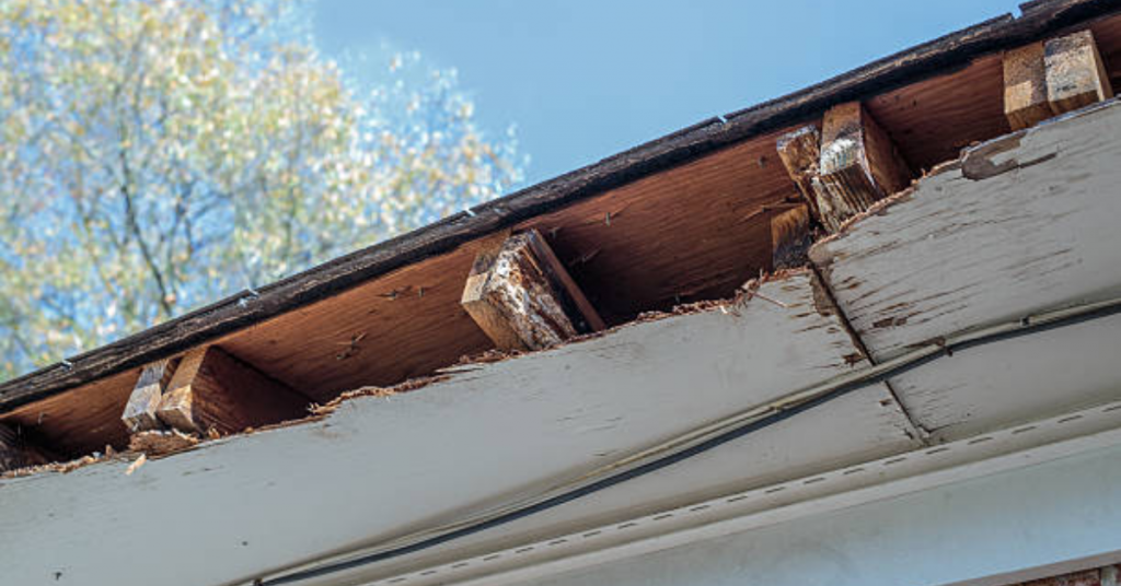 How Wood Rot Repair Improves Home Safety and Longevity