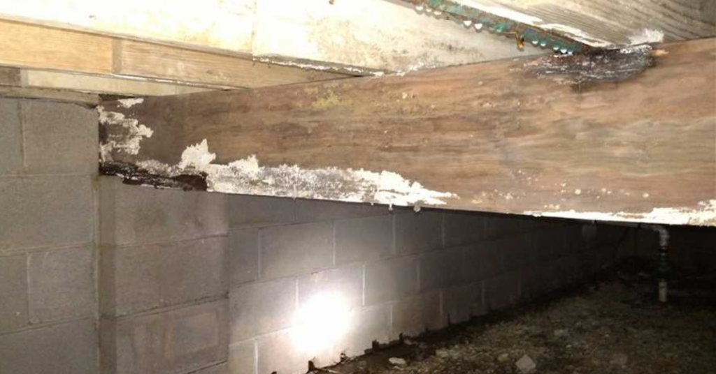 How to Identify Early Signs of Wood Rot in Your Home